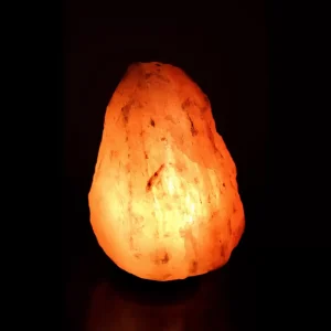 Lampada di sale dell' Himalaya classica 1/2 kg rosa