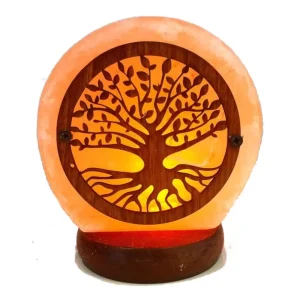 Lampada di sale dell' Himalaya  albero della vita usb 600gr